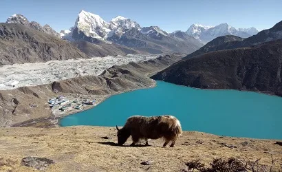 Everest three passes trek