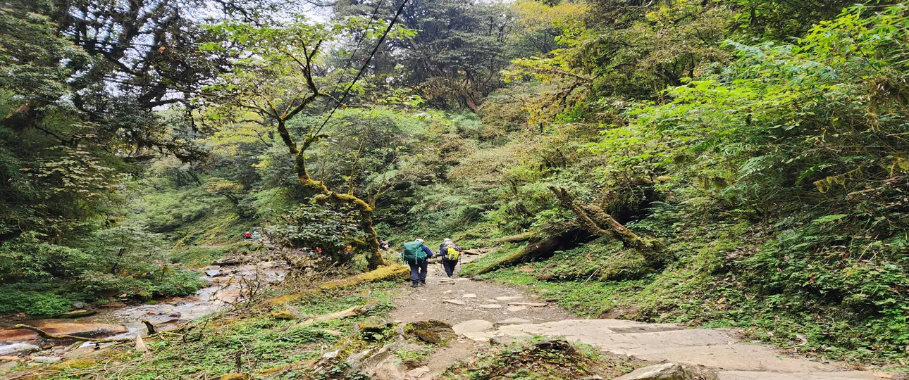 Nepal Tour Trekking - Ultimate Adventures Guide 2 Trekking routes of nepal