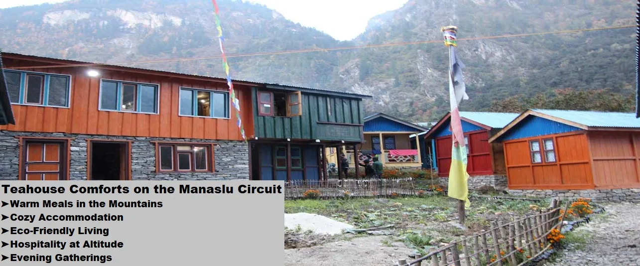 Warm beds, hearty meals, and a welcoming rest on the manaslu circuit trek nepal journey.