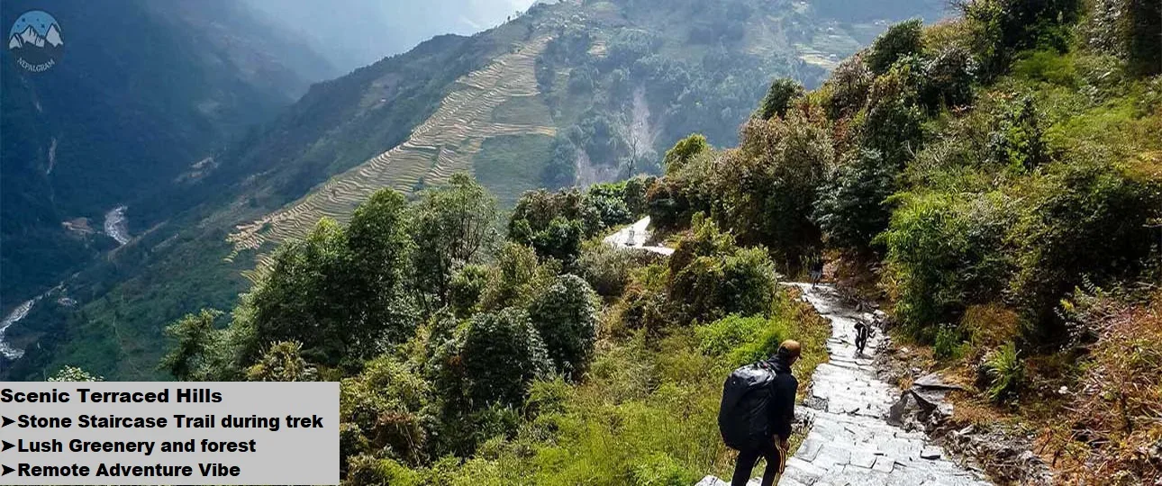 A peaceful path carved into the hills, with life blooming below.