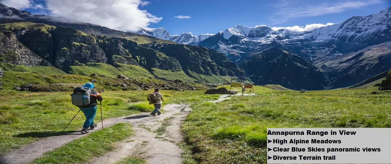 Trekkers walking through green land during annapurna circuit trek.