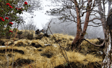 Upper Dolpo Trek Nepal