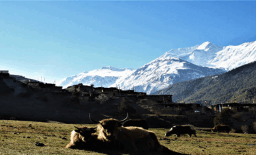 Upper dolpo Trek Nepal