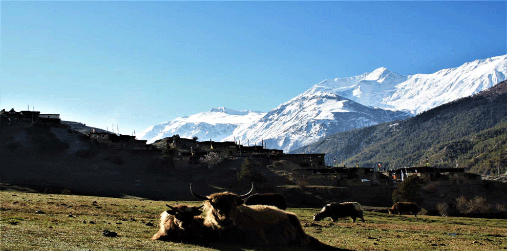 Upper dolpo Trek Nepal