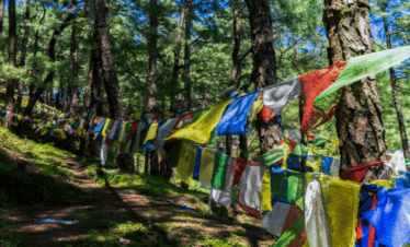 Nagi Gompa hike