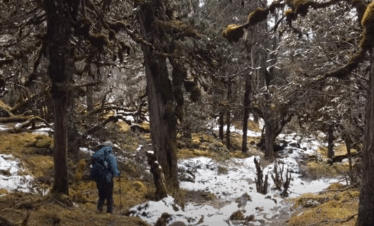 Kanchenjunga south basecamp trek route.