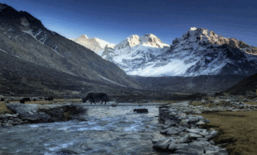 Kanchenjunga south basecamp trek