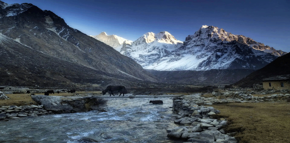 Kanchenjunga south basecamp trek