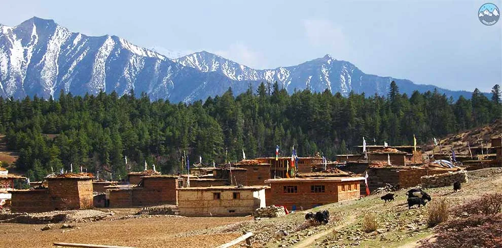 Upper Dolpo Trek Nepal